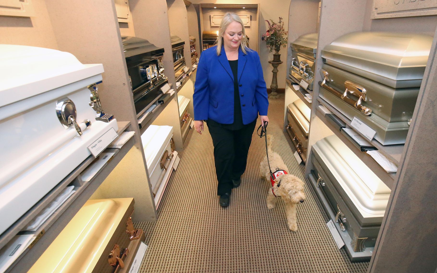 Quimby Grief therapy dog